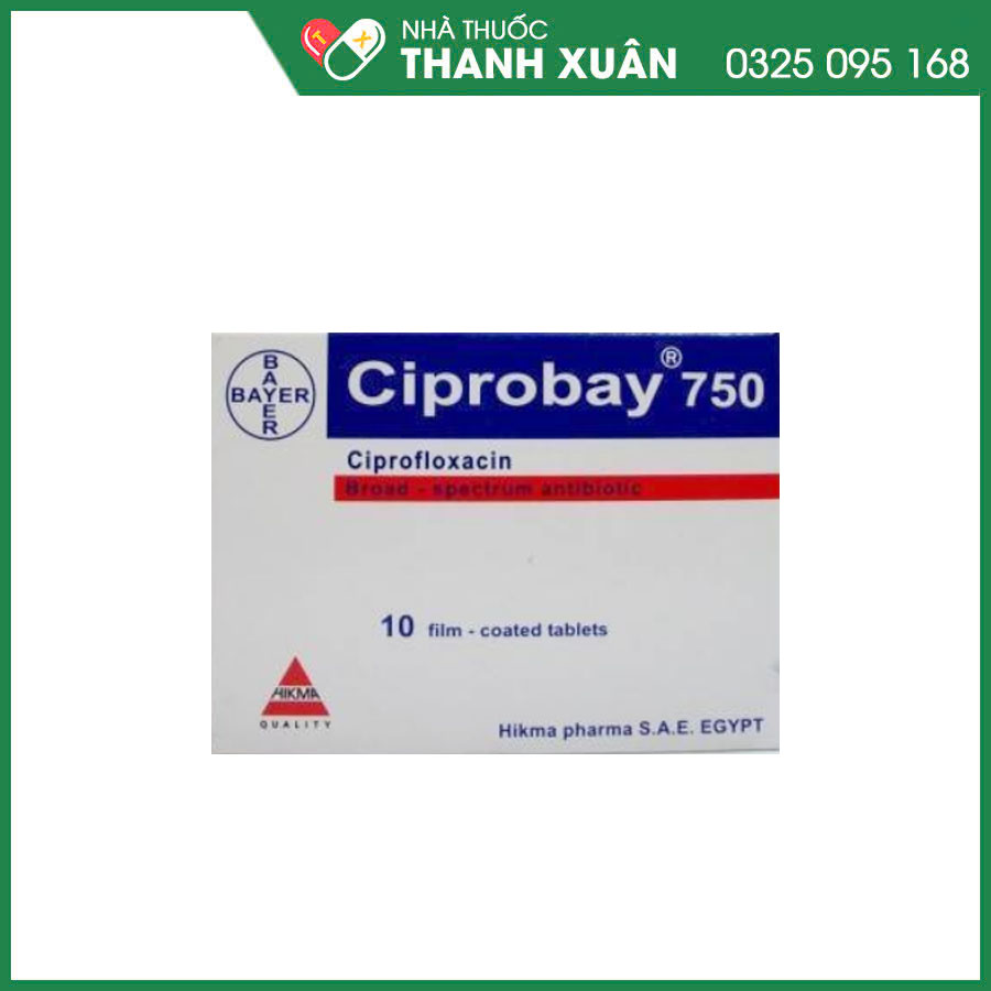 Ciprobay 750 kháng sinh phổ rộng điều trị nhiễm trùng hô hấp, tiết niệu, nhiễm trùng cơ quan sinh dục, bệnh lậu và viêm tiền liệt tuyến
